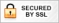 SSL Certificate Logo